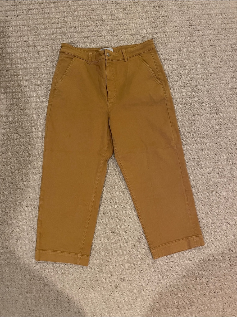 Everlane Chinos in Dark Brown Mustard